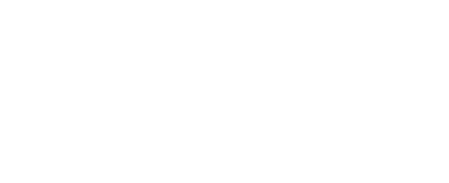 PURE ELECTRIC JAPAN